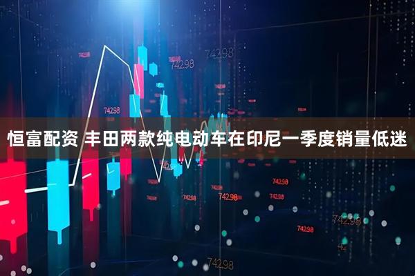 恒富配资 丰田两款纯电动车在印尼一季度销量低迷